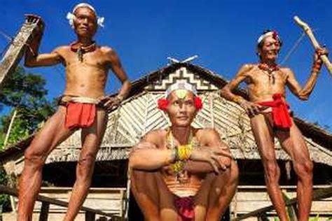 Rumah bolon merupakan rumah adat suku batak yang mendiami provinsi sumatra utara yang berfungsi untuk menunjukkan identitas dari suku tersebut. Keunikan Pakaian Adat Lampung Brainly - Baju Adat Tradisional