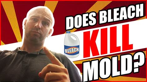 Check spelling or type a new query. Does Bleach Kill Mold? 🤔 Don't Make This Simple Mistake ...