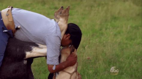 The Bachelorette Really Had A Thing For Horses And Heartbreak This Week