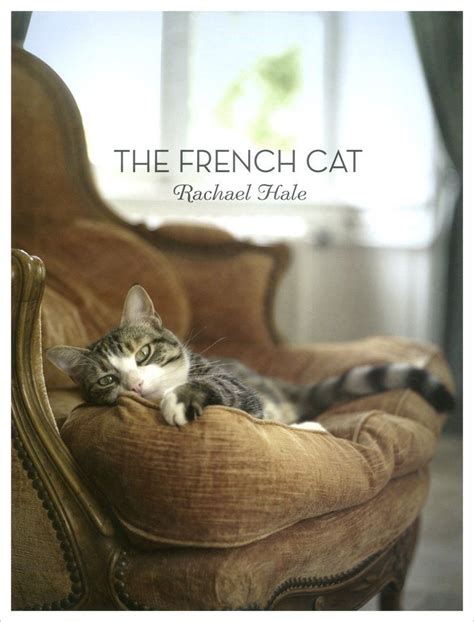 The French Cat French Cats Cats French Dogs