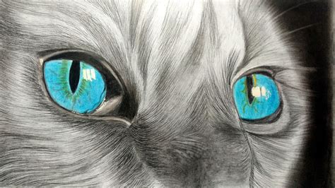 How To Draw Realistic Cat Eyes How To Draw Realistic Cat Fur For