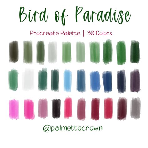 Bird Of Paradise Procreate Color Palette Color Swatches Ipad Lettering Illustration Procreate