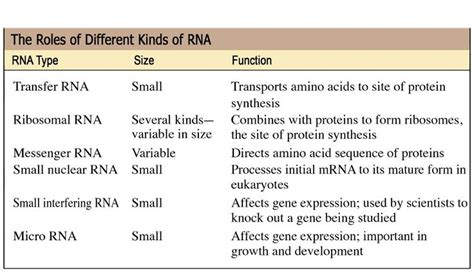 Pin On Genetics And Genomics