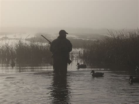 Free Download Waterfowl Hunting Wallpaper The Best Waterfowl Hunting