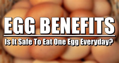 Egg Benefits Is It Safe To Eat One Egg Everyday