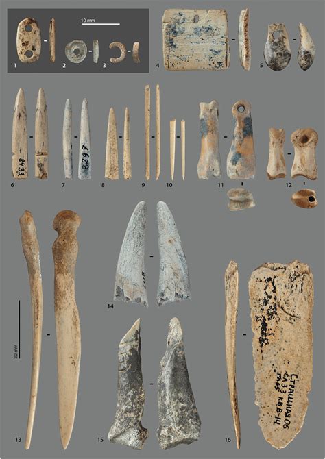 Ornaments And Bone Tools From The Upper Palaeolithic Layers Of