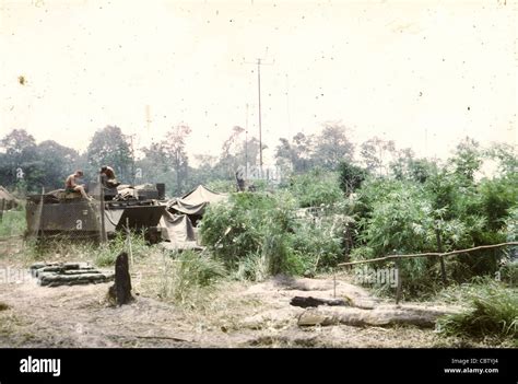 m113 armored personel carriers parked near quan loi during vietnam war tents troopers 11th