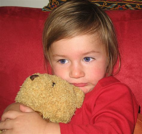 A Boy And His Bear Free Photo Download Freeimages