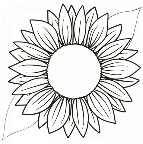 How To Draw A Simple Sunflower