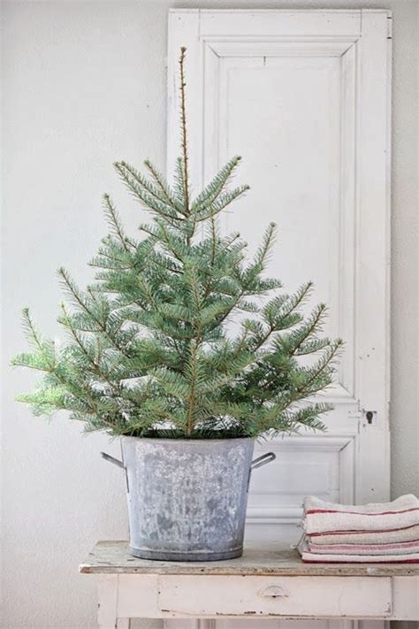 Kuvahaun Tulos Haulle Pikku Kuusi Small Christmas Trees Simple