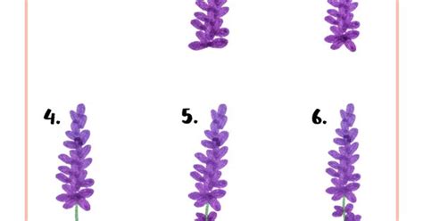 More images for how to draw lavender for kids » How to Draw Lavender in 6 Easy Steps | Beautiful drawings ...