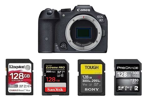 Best Memory Cards For Canon Eos R7 Best Camera News