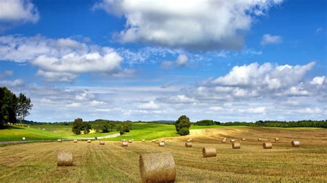 Wallpaper Farm Field Nature Landscape Hay Summer Cloudy Sky