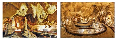 Dans une grotte profonde, les premiers artistes de l'histoire de l'humanité ont peint un chef d'oeuvre : Images Grotte Chauvet | Les Amis du Vieil Istres