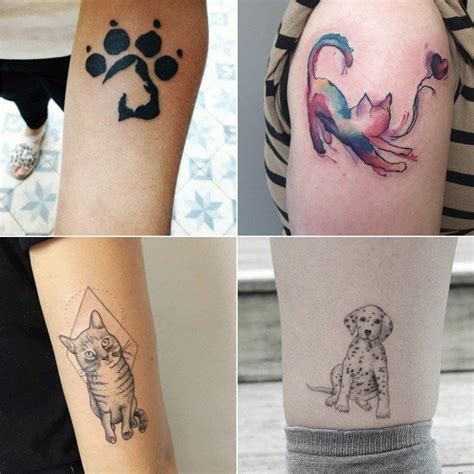 Https://flazhnews.com/tattoo/animal Lover Tattoo Designs
