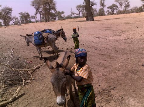 Niger Children Miss School To Search For Water The New York Times