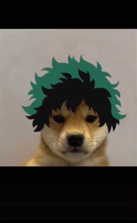 Pin By Madu Tavares On My Hero Academia In 2020 Dog Icon