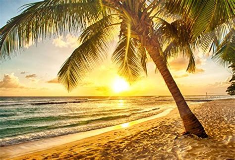 Laeacco Summer Beach Sunrise Photography Background 7x5ft Palm Trees