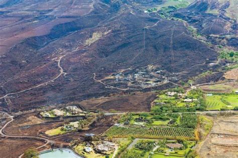 Although hawaii's policy may change in the near future, it remains in place until further notice. Hawaii Updates: Maui Wants Quarantine Stations, Prison ...