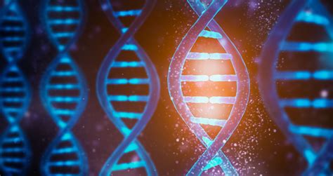 10 Strange Facts About Your Dna