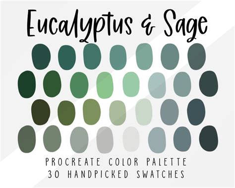 Eucalyptus Sage Procreate Color Palette Cool Color Swatches Etsy
