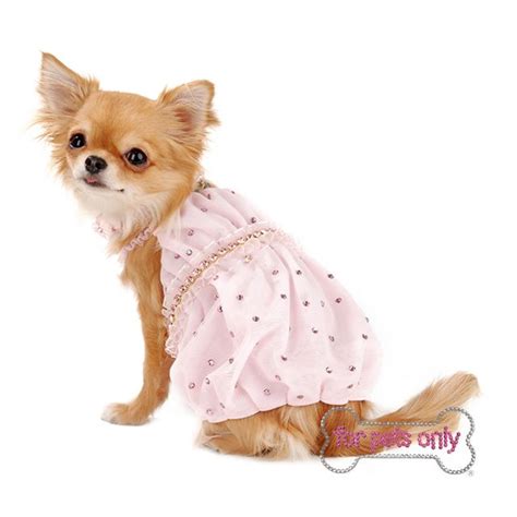 For Pets Only Doll Dream Pink Dress Couture Small Dog Breeds Small