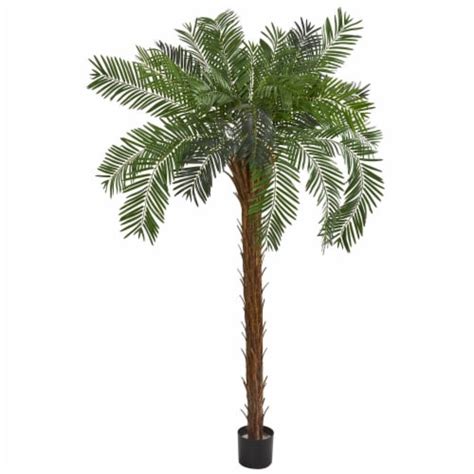 7 In Cycas Palm Artificial Tree 1 Fred Meyer