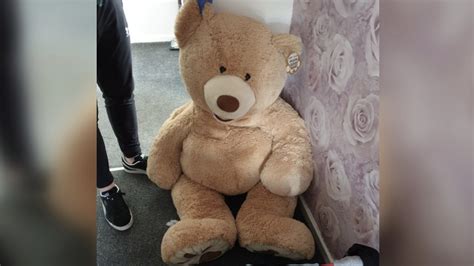Um Der Polizei Zu Entgehen Versteckte Sich Ein 18 Jähriger In Einem Großen Teddybär Neueste