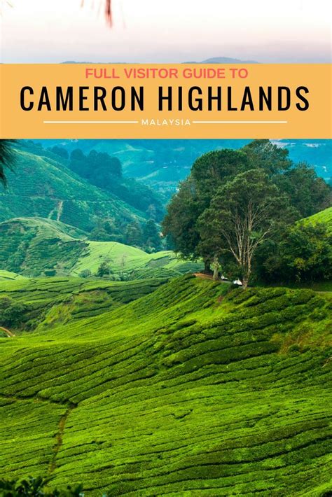 Having torn away from the during holidays, we usually have a lot of time to reconsider our position in society. Our full guide to the Cameron Highlands Malaysia including ...