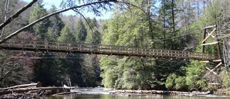Swinging Bridge Toccoa River Toccoa River Hiking