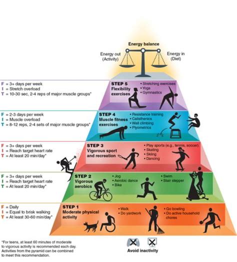 Infographic Physical Activity Pyramid Stomach Exercises Challenges