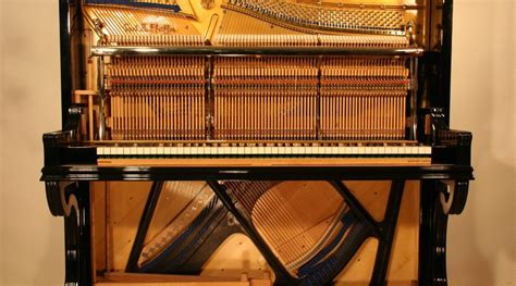 Der begriff klavier ist eigentlich ein oberbegriff für verschiedene arten von tasteninstrumenten. Luftfeuchtigkeit in der Wohnung — Ratgeber für Klaviere Hamann