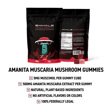 Health Benefits Of Mushroom Gummies Healthsoothe Health And