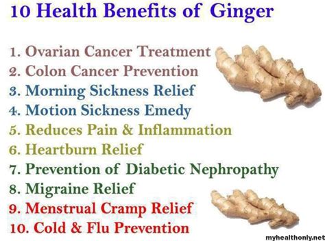 10 Impressive Health Benefits Of Ginger My Health Only