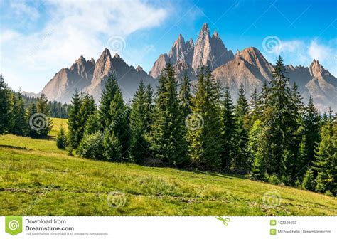 Spruce Forest In Mountains With Rocky Peaks Stock Image Image Of