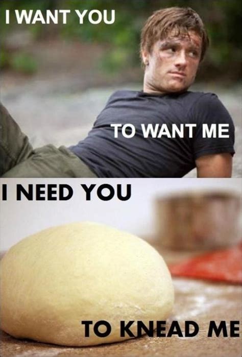 27 hunger games puns you can t help but laugh at fandoms hunger games humor hunger games