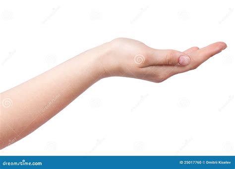 Outstretched Hand With The Palm Stock Photo Image 25017760