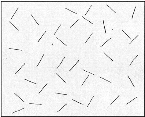 The schenkenberg line bisection test (schenkenberg, bradford, & ajax, 1980), for example, consists of 20 lines of different sizes that are centered to either the left, right, or middle of a page. Albert ' s cancellation task 6. | Download Scientific ...
