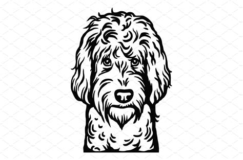 Labradoodle Dog Head Vector Vector Graphics Creative Market