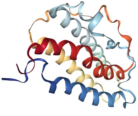 Erythropoietinepo Protein Overview Sino Biological