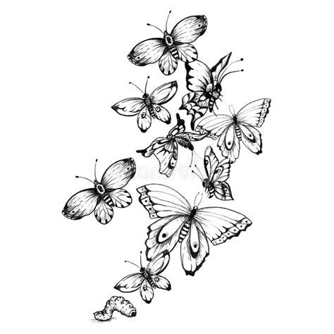 Papillons Monochromes Le Dessin Noir Et Blanc Tatouage Tiré Par La