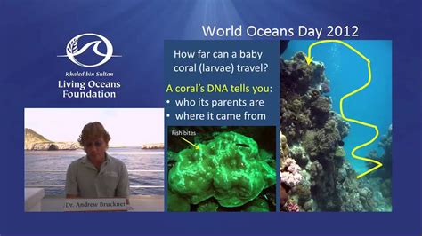 World Oceans Day Galápagos Education Webinar With Dr Andy Brucker