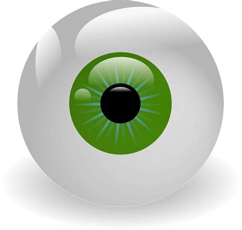 Eyeball Clipart Free Download Transparent Png Creazilla