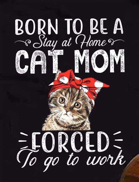 Cat Quotes Funny Cat Memes Funny Cats Funny Animals Cats Humor Mom
