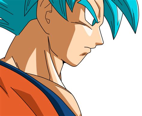 Goku Ssjblue Profile By Xzerotony On Deviantart