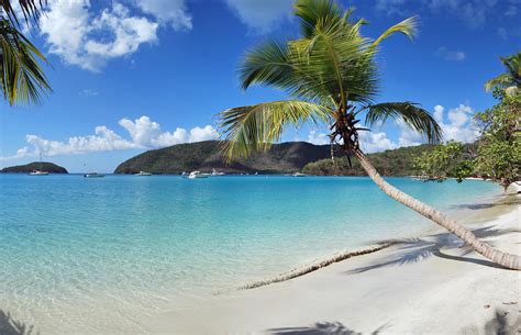 Maho Bay | The quintessential Caribbean beach shot. | Matt Wade | Flickr