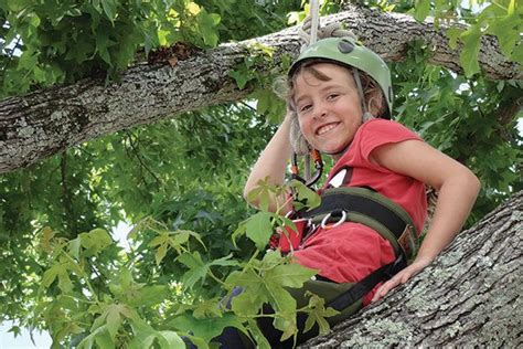 Go Climb A Tree Atlanta Parent
