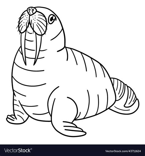 Walrus Coloring Pages For Kids
