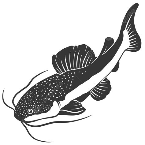 Catfish Vector Design Images Red Tail Catfish Catfish Red Tail
