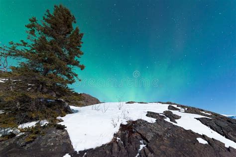 Northern Lights Aurora Borealis Over Snowy Rocks Stock Photo Image Of
